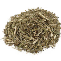 Vervain 1 Oz. (Verbena spuria)